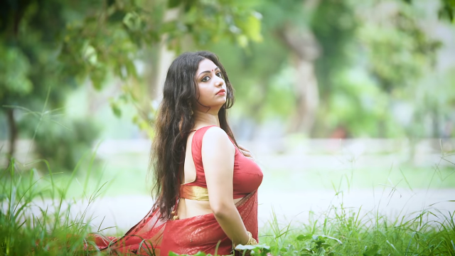 Desi Saree Lover Series