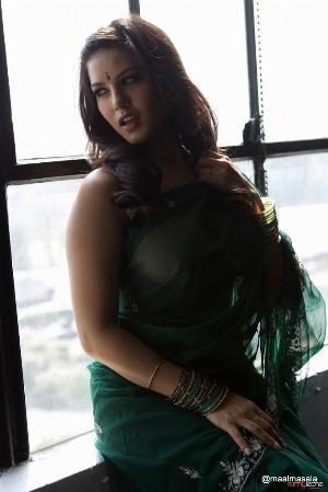 7.jpg Green Saree Indoor Nude Photoshoot