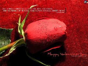 val55a.jpg Valentine Wallpapers