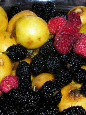 07fruits.jpg Fruits