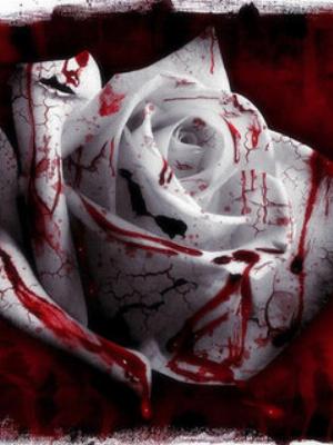 blood-on-rose.jpg Love